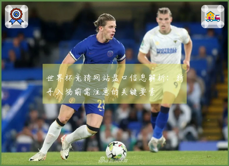 世界杯竞猜网站盘口信息解析：新手入场前需注意的关键要素