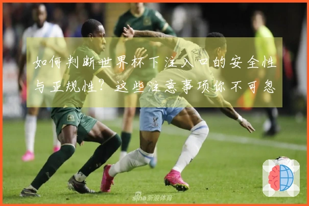 如何判断世界杯下注入口的安全性与正规性？这些注意事项你不可忽视