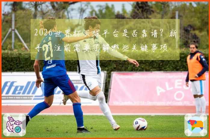 2026世界杯买球平台是否靠谱？新手下注前需要了解哪些关键事项