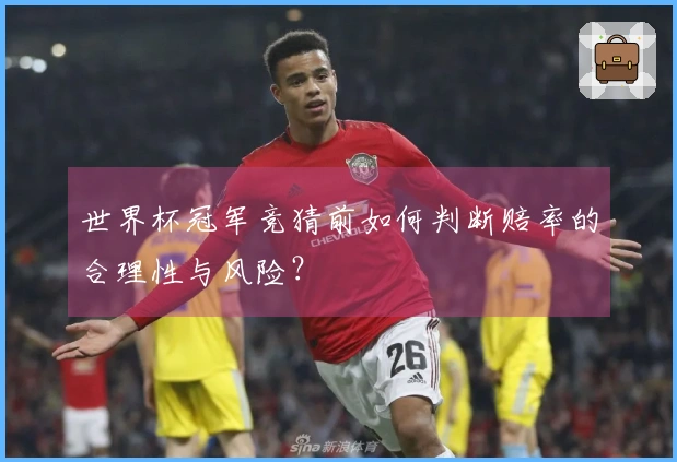 世界杯冠军竞猜前如何判断赔率的合理性与风险？