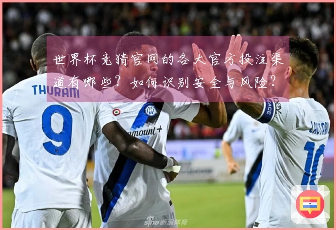 世界杯竞猜官网的各大官方投注渠道有哪些？如何识别安全与风险？