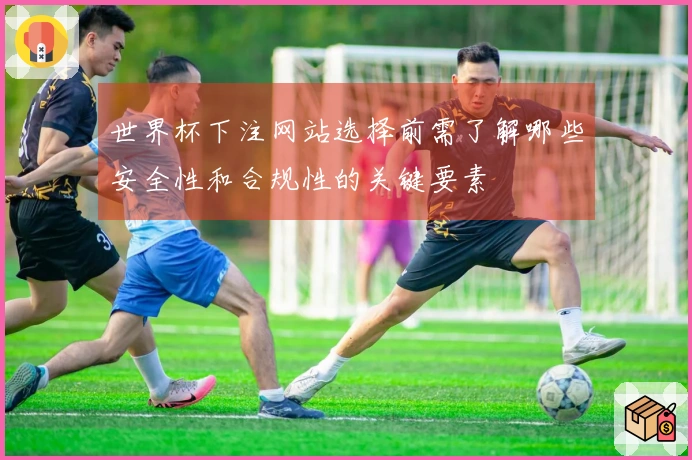 世界杯下注网站选择前需了解哪些安全性和合规性的关键要素