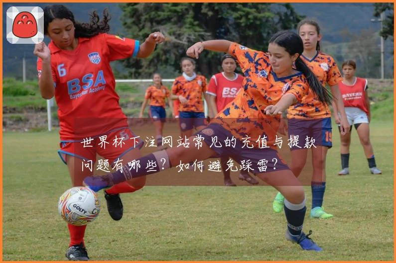 世界杯下注网站常见的充值与提款问题有哪些？如何避免踩雷？