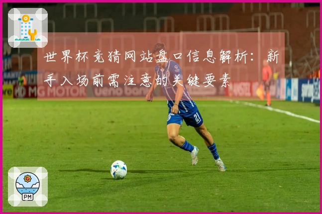 世界杯竞猜网站盘口信息解析：新手入场前需注意的关键要素