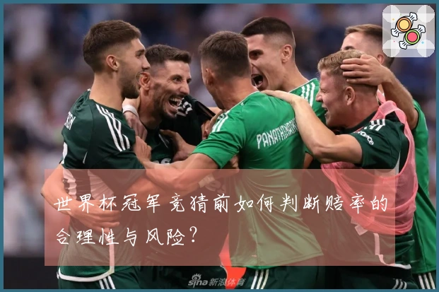 世界杯冠军竞猜前如何判断赔率的合理性与风险？